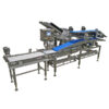 Tray Loading System, tray loading machine