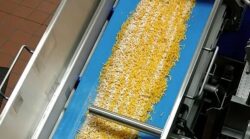 industrial food mixing equipment, precise powder on shredded cheese